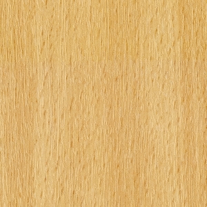 Бук