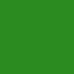 ral_6018